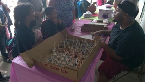 Stomp the Stigma with Strawberries activity