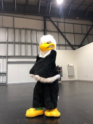 school mascot